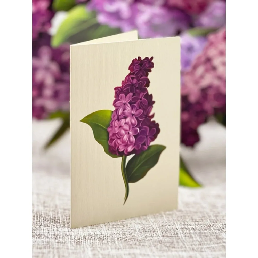 Garden Lilacs Pop-Up Greeting Card